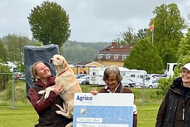 Vilka dagar vi har haft! Jeanette, Ella och Jag blev Fyra i lagfinalen , och i dagens individuella blev AnneNerell, jag och Ella tre Bästa vänninor  fem i topp! Anne Nerell etta, jag tvåa, Ella femma. Två Belacquas i finalen ! 